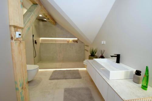a bathroom with a white sink and a shower at Apartamenty Blanca in Łeba