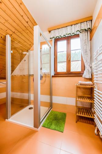 a bathroom with a shower with a glass door at Valašský dvůr in Velké Karlovice
