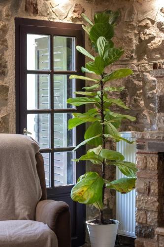 Gallery image of Manos Luxury Apartments in Nafpaktos