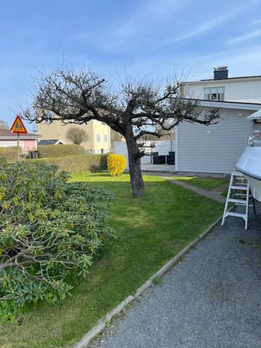 a tree in a yard with a ladder next to a house at Tiny House! in Västervik