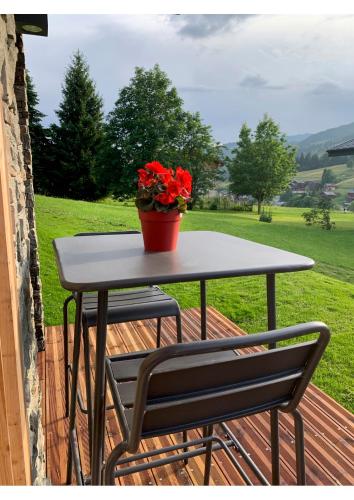 a table with a pot of red flowers on a deck at Appartement LE 351 in Les Gets