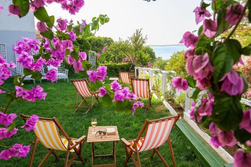 En have udenfor Mansion Miliá