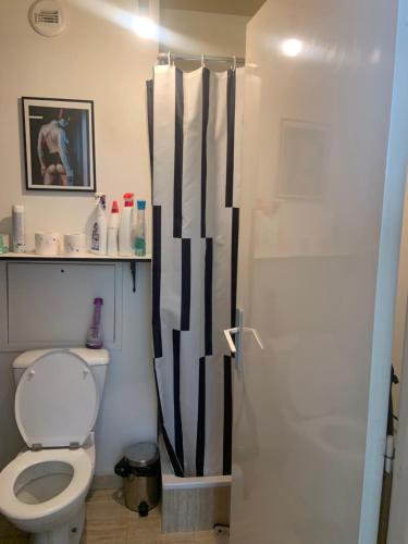 La salle de bains est pourvue de toilettes et d'un rideau de douche noir et blanc. dans l'établissement Duplex, à Saint-Maur-des-Fossés