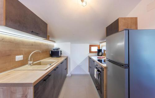 a kitchen with a refrigerator and a sink at Beautiful Apartment In Cabrunici in Čabrunići
