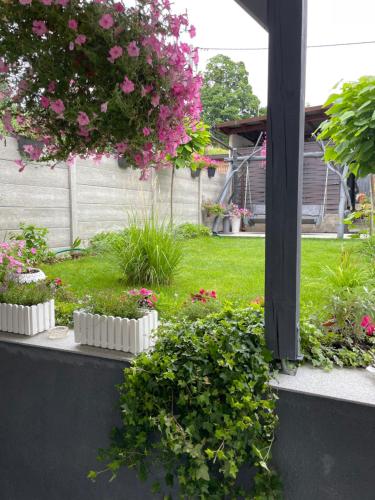 a garden with pink flowers and plants in a yard at Apartament u Danusi in Złoty Stok