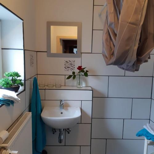 a bathroom with a sink and a mirror at Nordseeferienhaus Peter in Niebüll