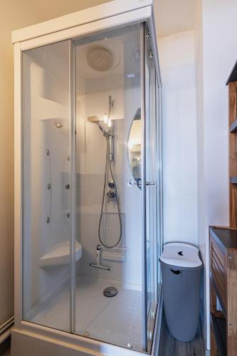La salle de bains est pourvue d'une cabine de douche en verre et de toilettes. dans l'établissement Bleu rivage F3 bord de l'Allier - parking gratuit - 2 étoiles, à Vichy