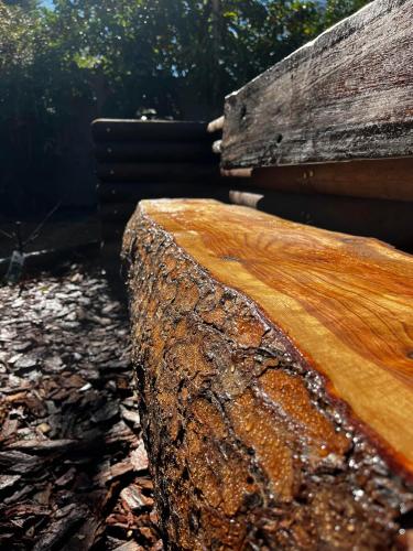 a close up of a log on the ground at Paarl Crystal Family Home in Paarl