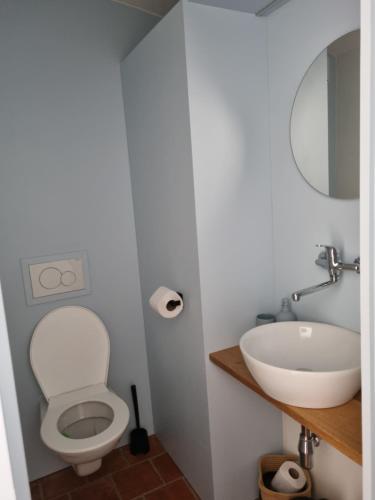 a bathroom with a toilet and a sink at Statek u Benešů in Ponědraž