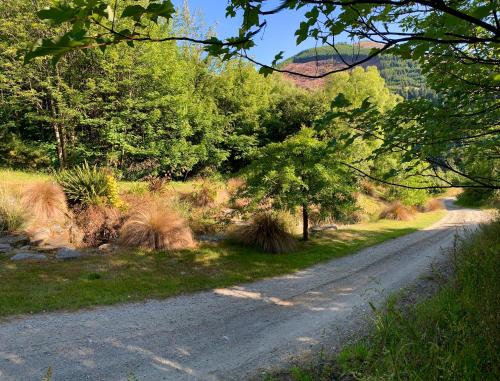 a dirt road with grass and trees on the side at Moonlight Escape Lodge in Queenstown