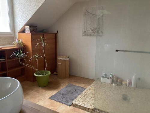 La salle de bains est pourvue d'un lavabo et d'une plante en pot. dans l'établissement Center house with swimming pool, à Brive-la-Gaillarde