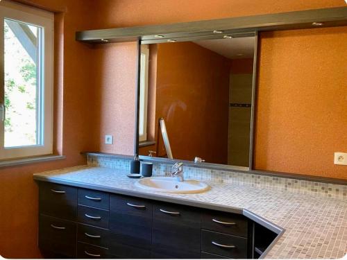 une salle de bain avec un lavabo et un grand miroir dans l'établissement Les Figuiers, à Gougenheim