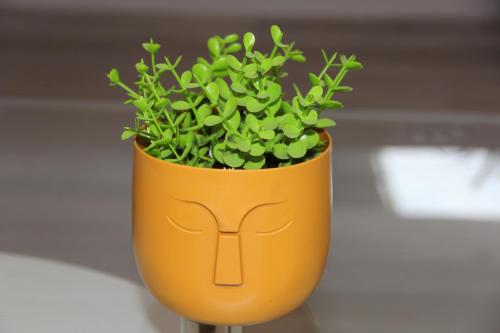 a yellow vase with a green plant in it at Apartment Patra Greece in Patra