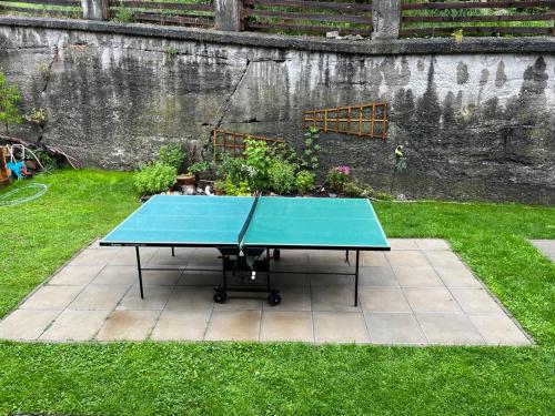 a blue ping pong table in a yard at Pension Steiner, 6143 Matrei am Brenner!!Check-in between 15 - 21 o'clock!! No breakfast in Mühlbachl