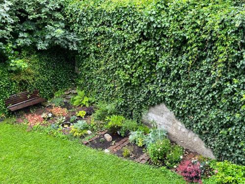 a garden with a bench in front of a hedge at Pension Steiner, 6143 Matrei am Brenner!!Check-in between 15 - 21 o'clock!! No breakfast in Mühlbachl