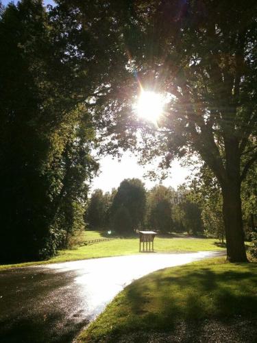 a bench sitting under a tree in a park at Stora Djulö Vandrarhem in Katrineholm