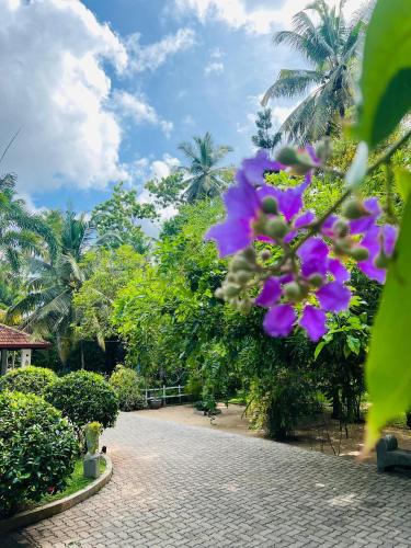 a cobblestone street with purple flowers and palm trees at Krishan Villa in Negombo