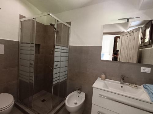 a bathroom with a shower and a toilet and a sink at Su Suberju in San Teodoro
