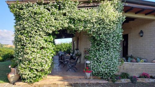 a pergola covered in white flowers on a house at Il Casale Del Sogno in Ardea