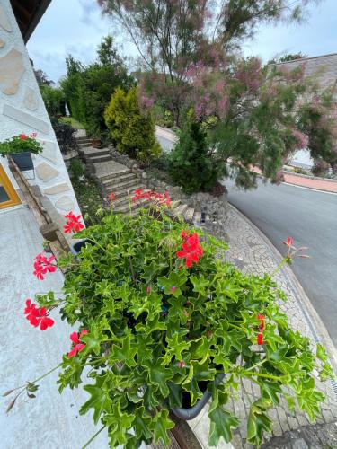 Κήπος έξω από το Innas Ambiente