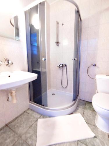 a bathroom with a shower and a sink and a toilet at Willa AL-BA in Łeba