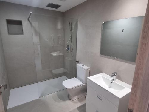 a bathroom with a shower and a toilet and a sink at ASTURES Viviendas Turísticas in Oviedo