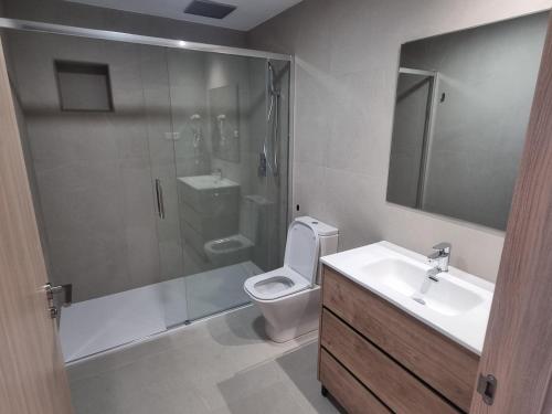 a bathroom with a shower and a toilet and a sink at ASTURES Viviendas Turísticas in Oviedo