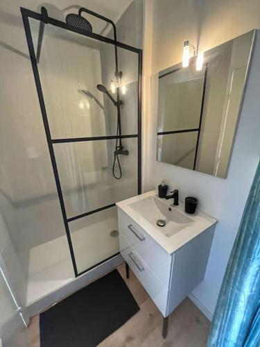 une salle de bain avec un lavabo blanc et une douche dans l'établissement Studio refait à neuf avec parking, à Toulouse