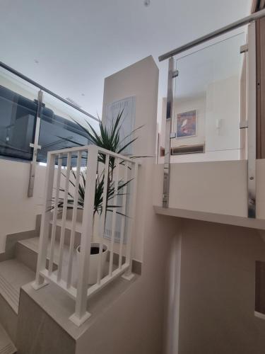 a staircase with a potted plant in a building at ASTURES Viviendas Turísticas in Oviedo