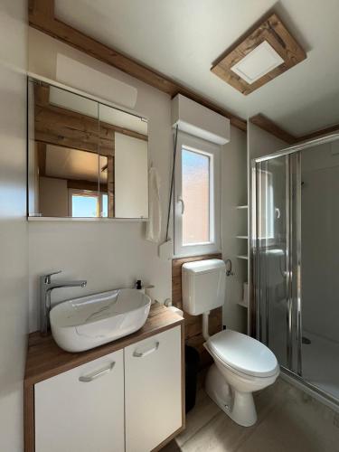 a bathroom with a toilet and a sink and a shower at MIMOSA Luxury Mobile Homes in Sveti Juraj