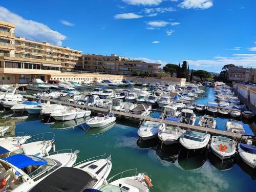Une bande de bateaux amarrés dans un port de plaisance dans l'établissement Studio Les pieds dans l'eau, à Mandelieu-la-Napoule