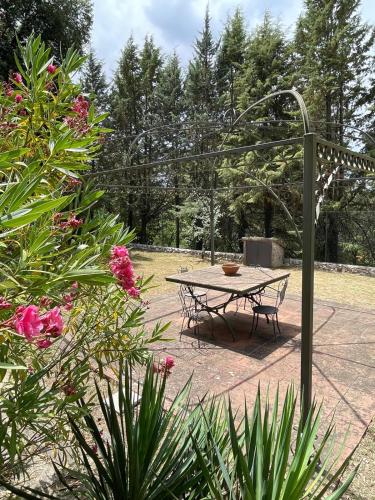 a picnic table in a park with pink flowers at Little Umbria Guest House in Ficulle
