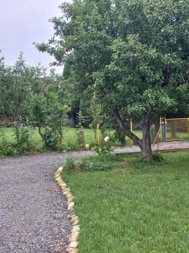 a tree in a yard with a gravel driveway at Vikendica Nirvana in Loznica