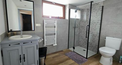 a bathroom with a toilet and a sink and a shower at Calme et cosy in Planaise