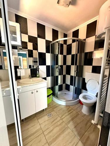 a bathroom with a toilet and a sink at Pensiunea Bianca in Corbu