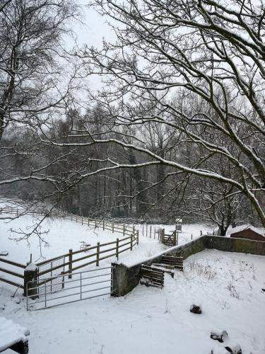 Ons Hofke durante el invierno