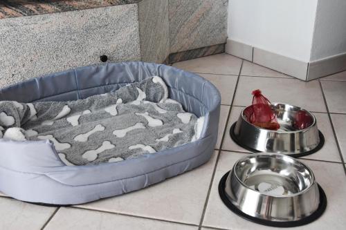 a blue dog bowl and a dog food dish with a dog food at ZARA HOUSE - Lake and Pet Friendly in Brusimpiano