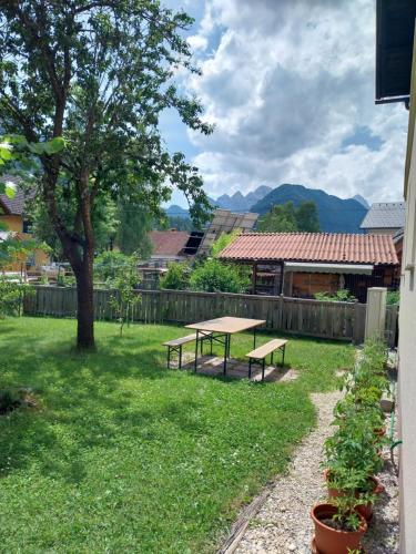 a picnic table in a yard with a tree at Apartma Praprot in Mojstrana