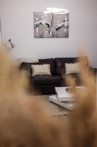 a living room with a couch and a table at Apartman Jelena II in Banja Koviljača