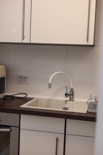 a kitchen with a sink and a counter top at Apartman Jelena II in Banja Koviljača