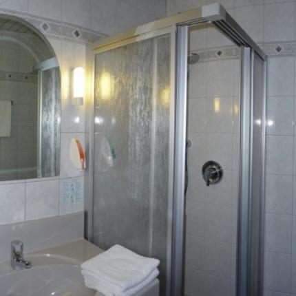a bathroom with a shower and a sink and a toilet at Braunes Ross in Weidhausen bei Coburg