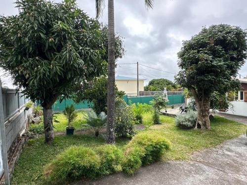 a garden with trees and plants in a yard at Au TAMPON Entre mer et Montagne in Le Tampon