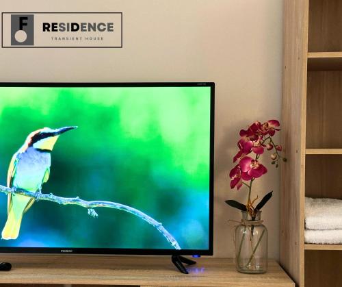 a television screen with a bird on a tree branch at F Residence Transient House in Cabanatuan