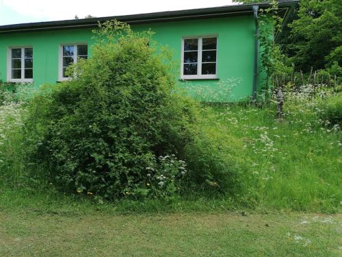 a green house with a large bush in front of it at Kräuterbaude in Saupsdorf