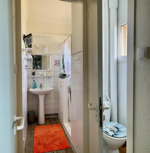 une petite salle de bain avec toilettes et lavabo dans l'établissement Le Mas g'Ardéchois, à Saint-Paul-le-Jeune