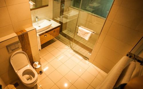 a bathroom with a shower and a toilet and a sink at Coastlands Umhlanga Hotel and Convention Centre in Durban