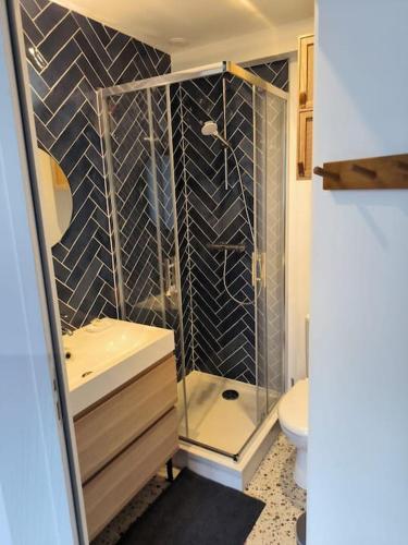 une salle de bain avec une douche, un lavabo et des toilettes dans l'établissement Studio à 100 m de la plage PIQUOT 44, à Granville
