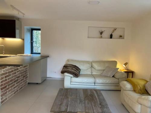 un salon avec un canapé blanc et une cuisine dans l'établissement Espace Bergerie La maison d'Hélène, à Peille
