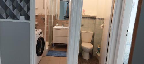 a bathroom with a toilet and a sink and a washing machine at La Fleur d'Opale, appt 2 ch, 4 pers in Boulogne-sur-Mer
