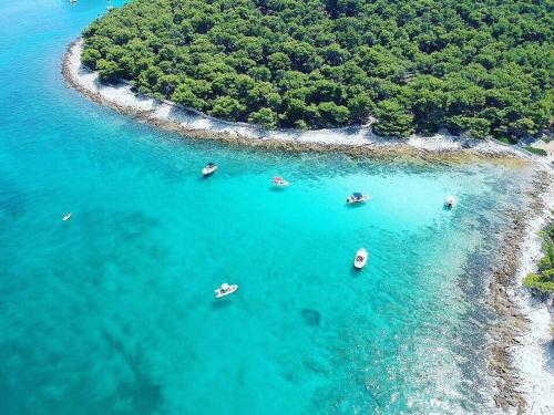 Charmy Sunny Apartment